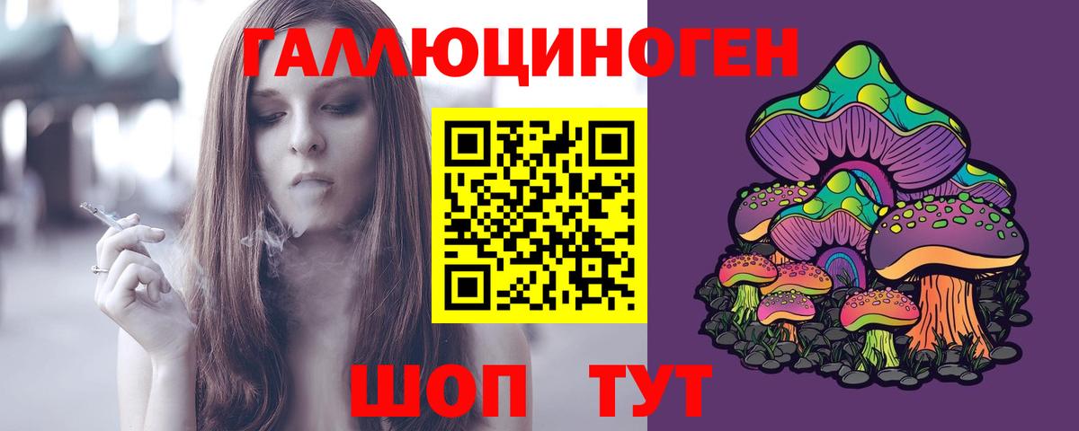 Конаково  Псилоцибиновые грибы Psilocybine cubensis  Вход с VPN  купить наркоту  Псилоцибиновые грибы GOLDEN TEACHER 